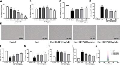Neuroprotective effects of total phenolics from Hemerocallis citrina Baroni leaves through the PI3K/AKT pathway
